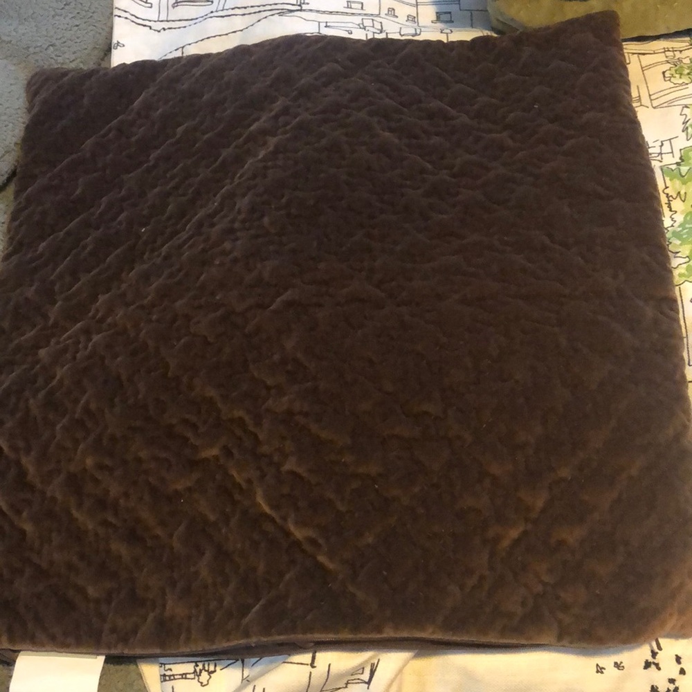 Pottery Barn pillow case